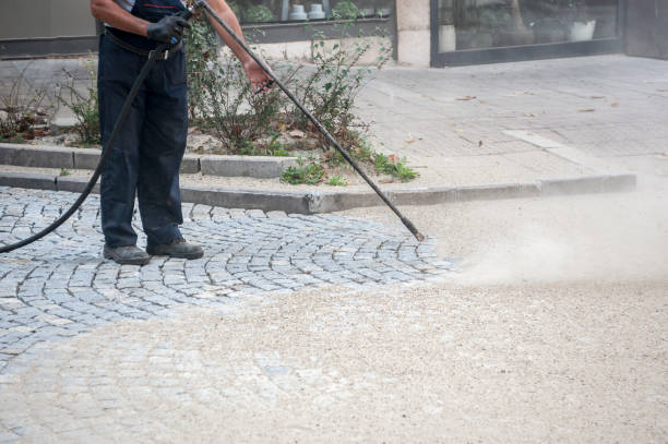 Best Restaurant Pressure Washing  in Lomita, CA